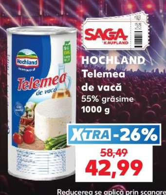 HOCHLAND Telemea de vacă