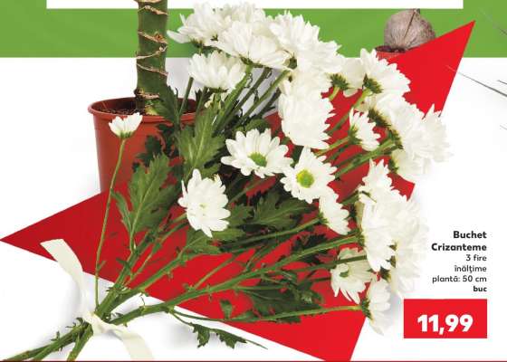 Buchet crizanteme