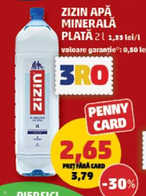ZIZIN Apă minerală plată