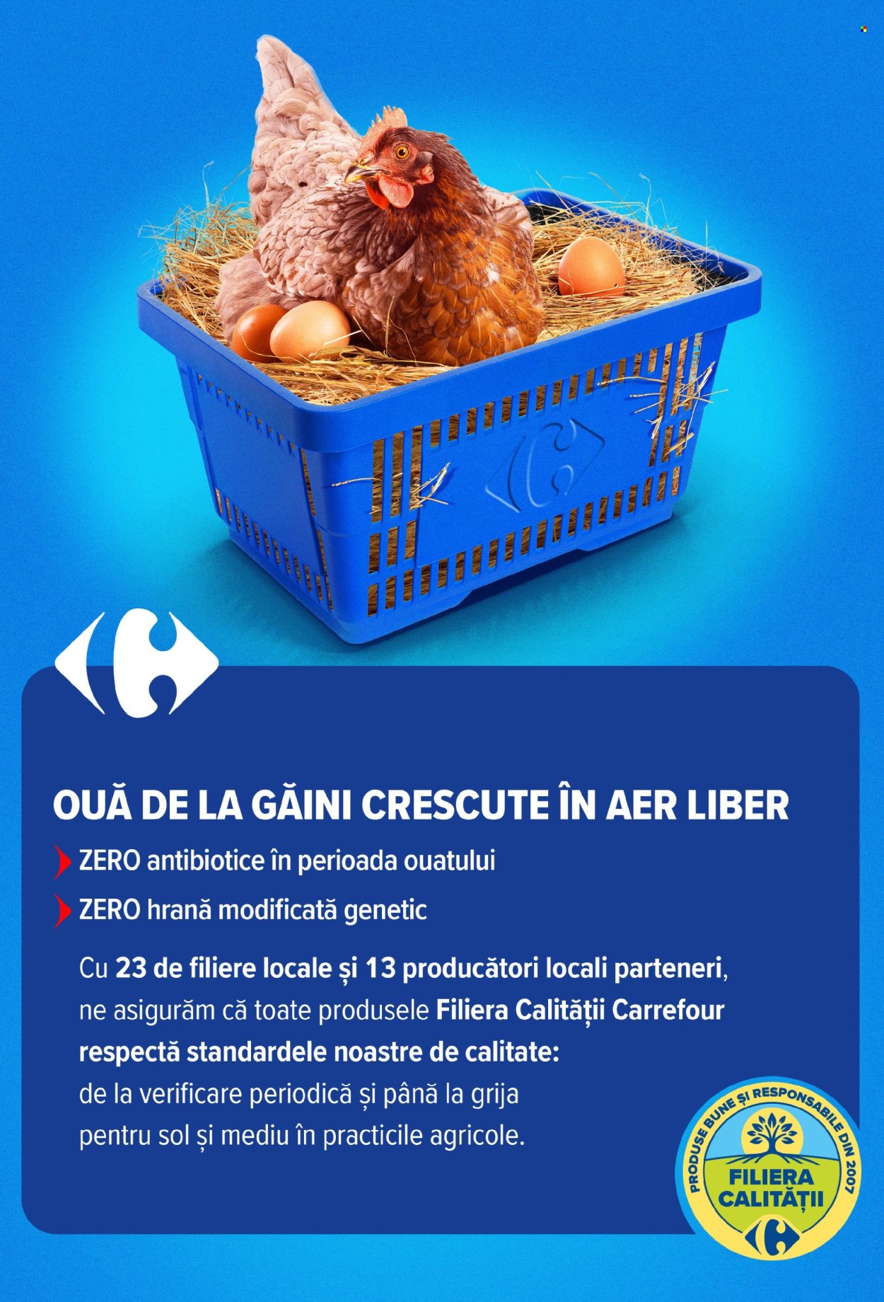 Catalog Carrefour - 01.07.2026 - 14.07.2026. Pagina 4