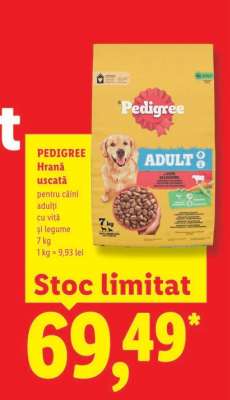 PEDIGREE HRANĂ USCATĂ