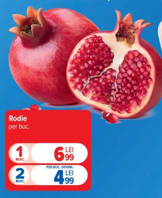 Rodie