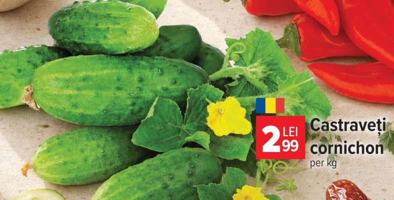 Castraveţi cornichon