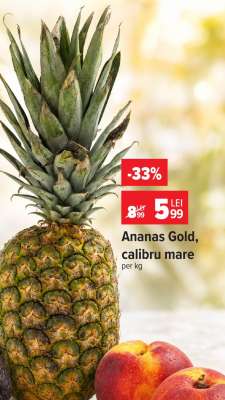 Ananas Gold calibru mare