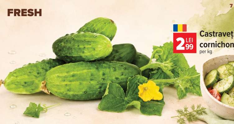 Castraveţi cornichon