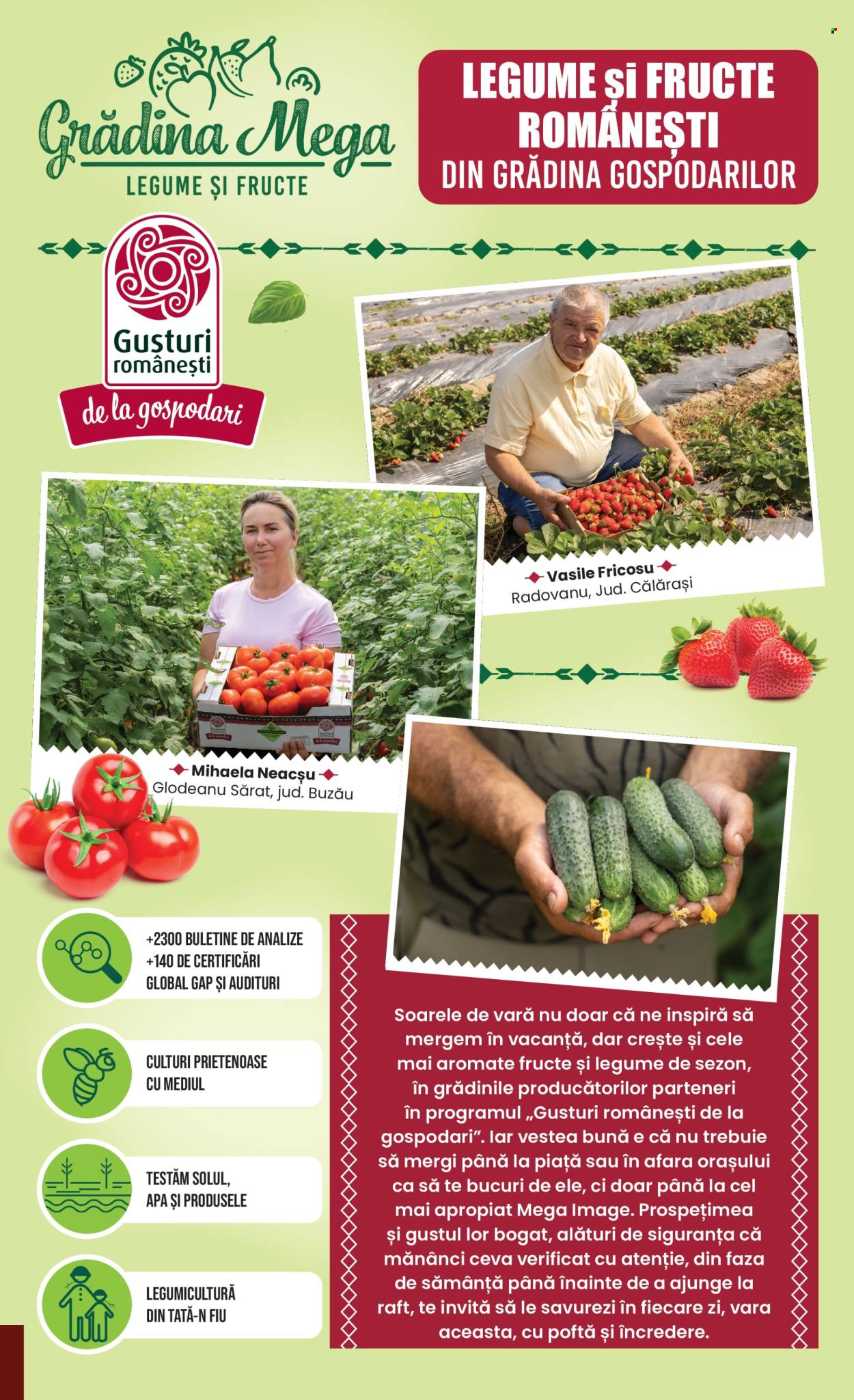 Catalog Mega Image - 02.07.2026 - 08.07.2026. Pagina 7