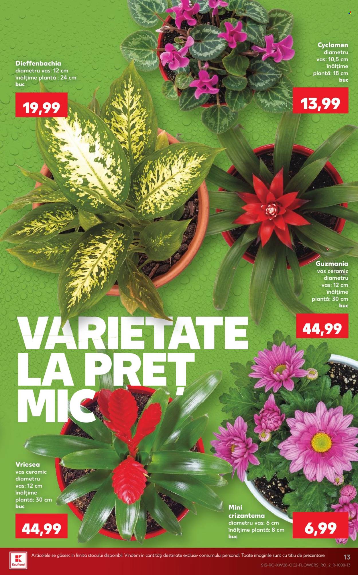 Catalog Kaufland - 08.07.2026 - 14.07.2026. Pagina 13