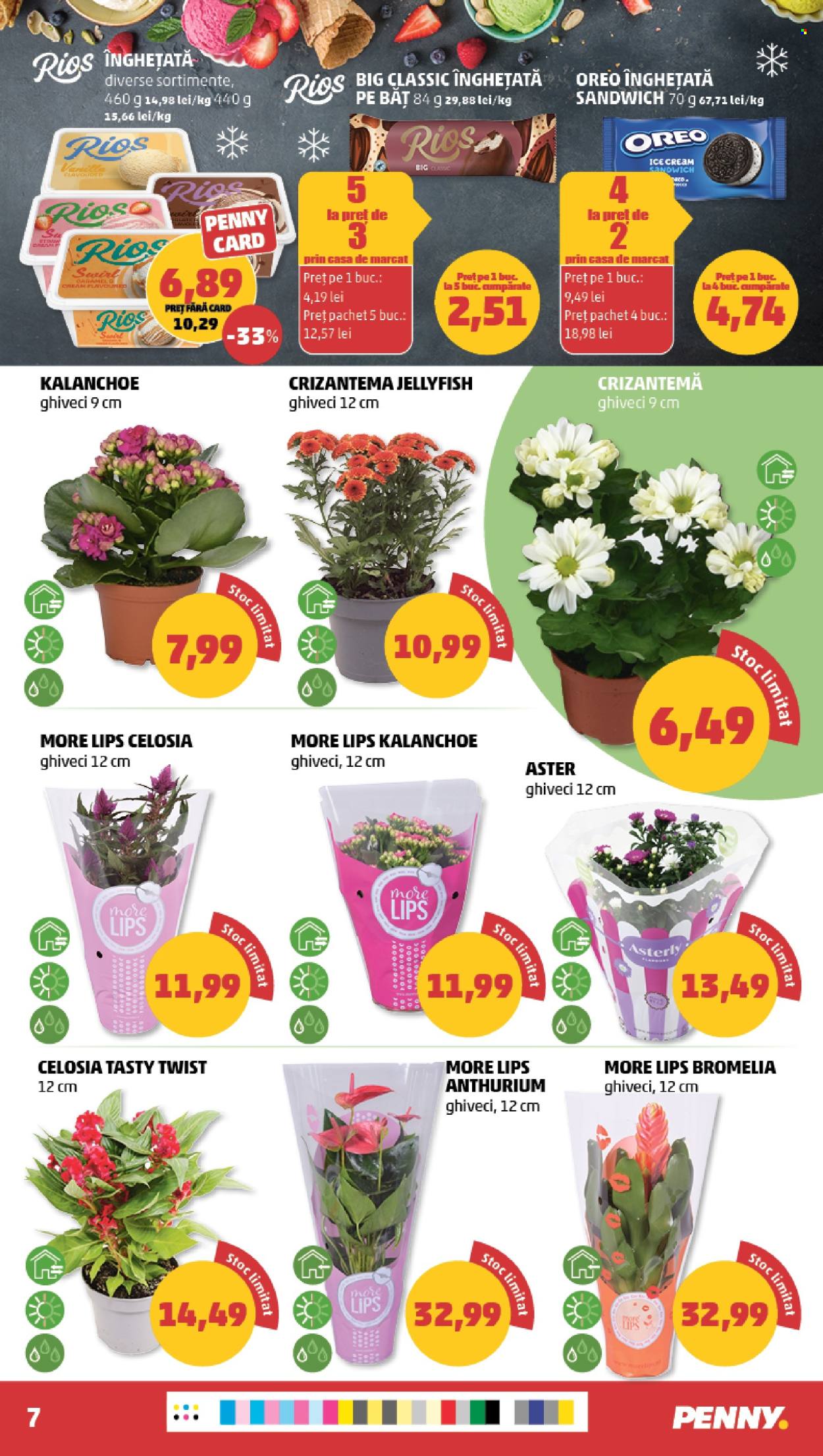 Catalog PENNY - 08.07.2026 - 14.07.2026. Pagina 7