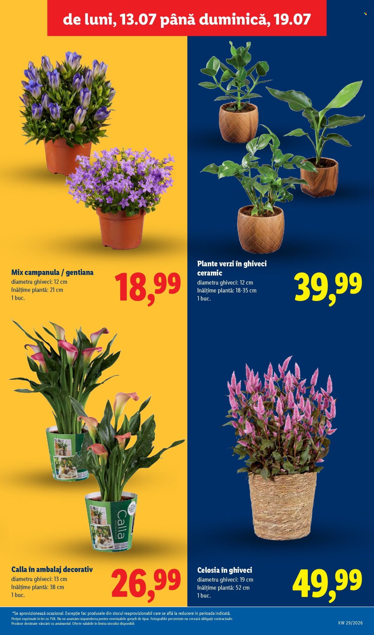 Catalog Lidl - 13.07.2026 - 19.07.2026. Pagina 59