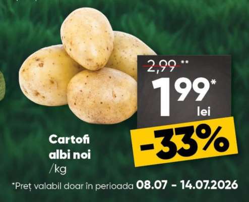 Cartofi albi noi