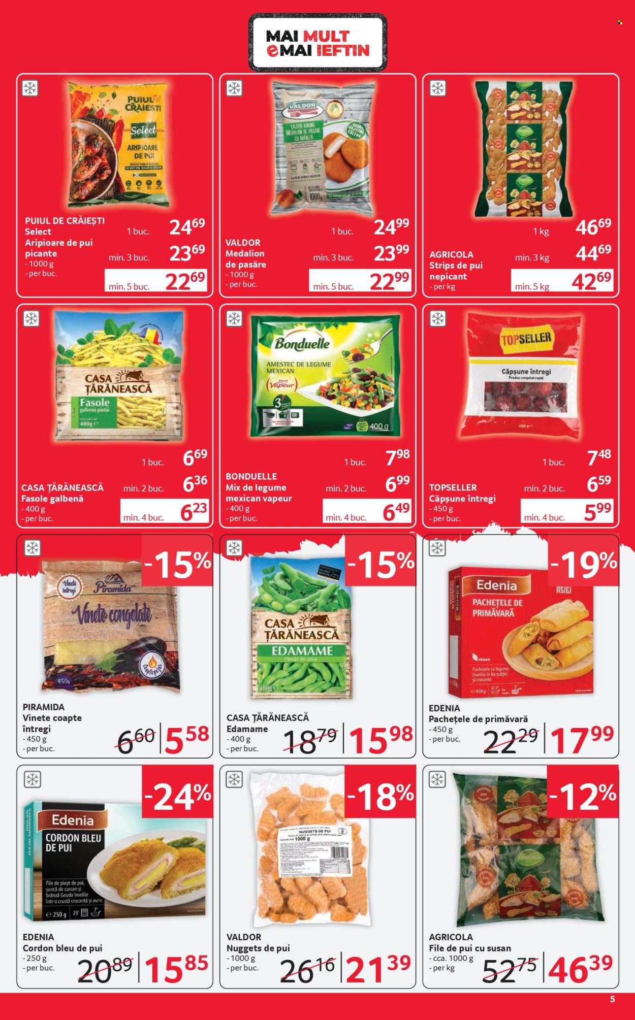 Catalog Selgros - 10.07.2026 - 23.07.2026. Pagina 5