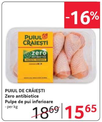 PUIUL DE CRĂIEȘTI