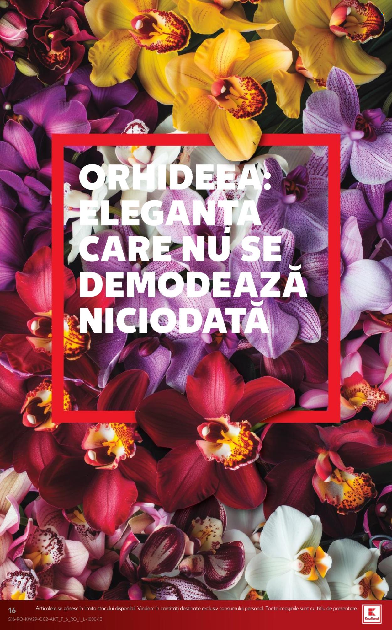 Catalog Kaufland - 15.07.2026 - 21.07.2026. Pagina 16