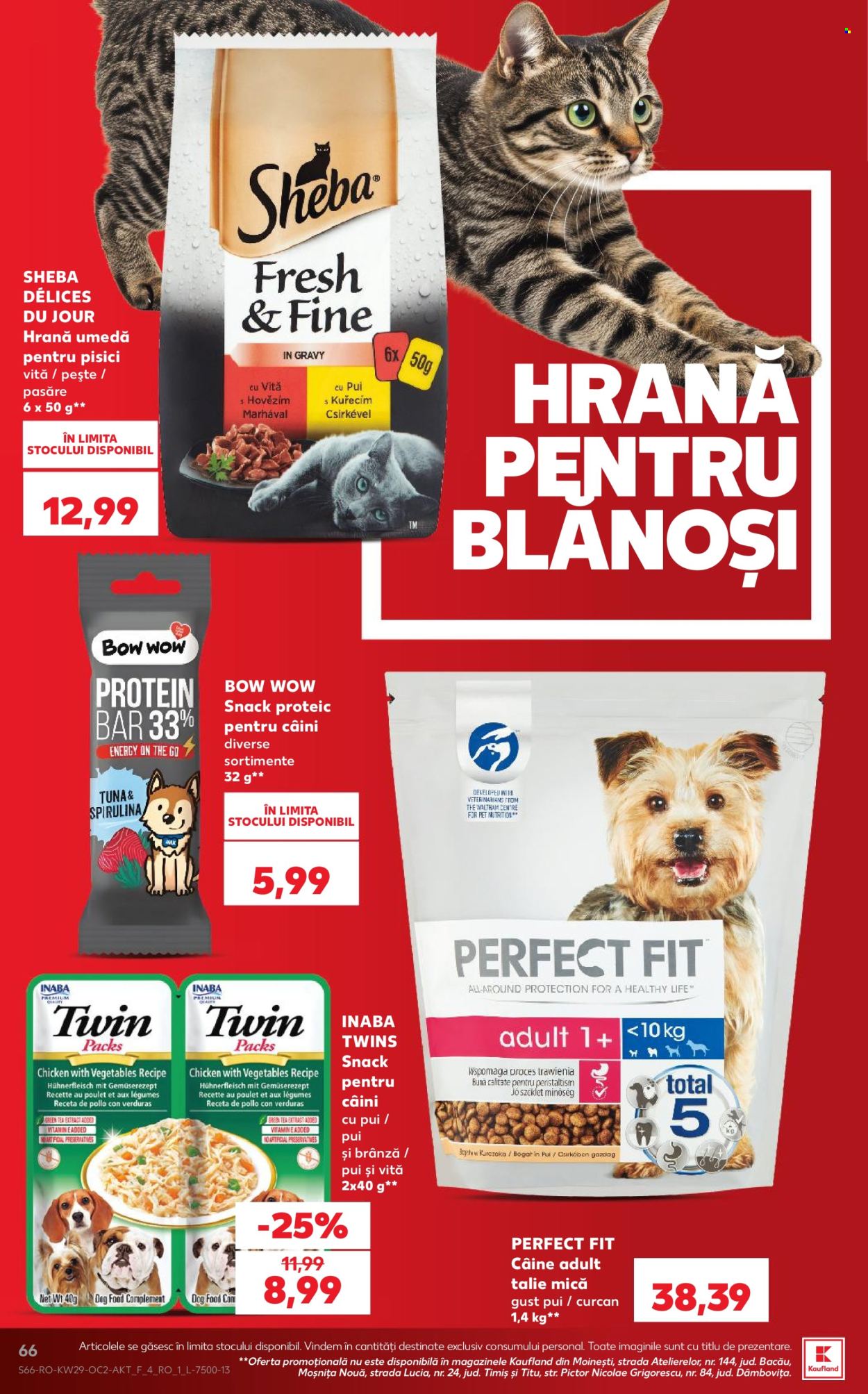 Catalog Kaufland - 15.07.2026 - 21.07.2026. Pagina 66