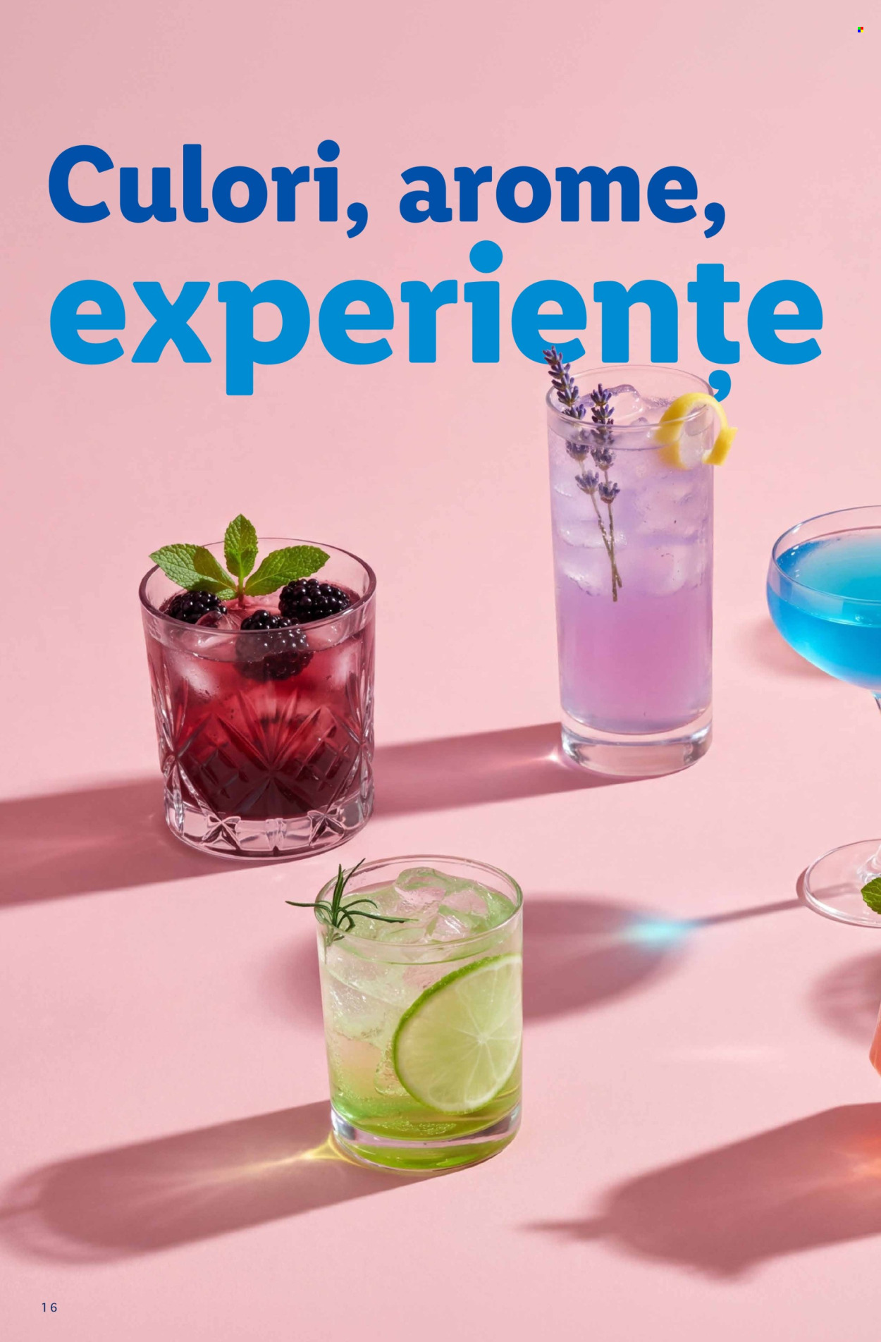 Catalog Lidl - 13.07.2026 - 13.09.2026. Pagina 16