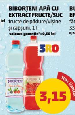 BIBORTENI APĂ CU EXTRACT FRUCTE/SUC