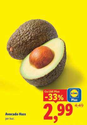 Avocado Hass