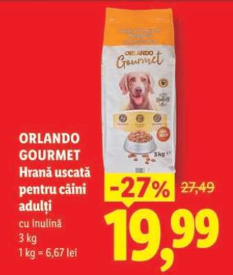 ORLANDO GOURMET