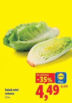 Salată mini romană