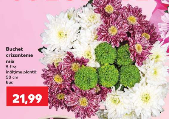 Buchet crizanteme mix