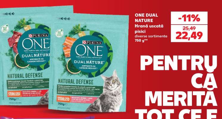 ONE DUAL NATURE