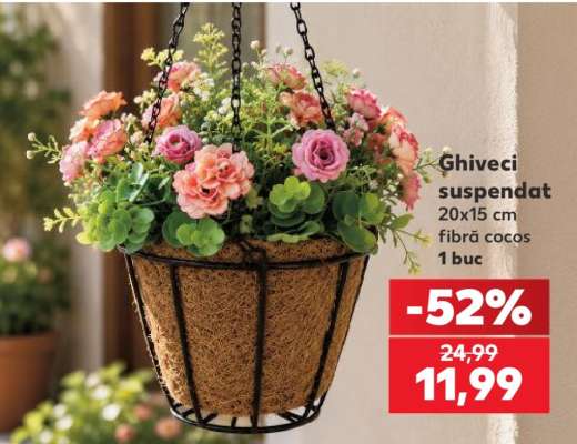 Ghiveci suspendat