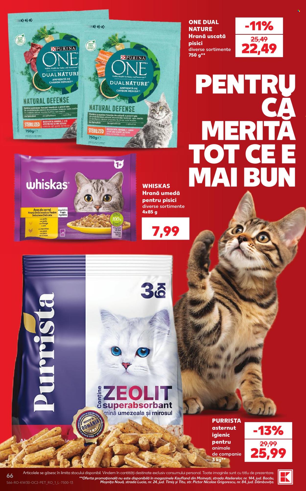 Catalog Kaufland - 22.07.2026 - 28.07.2026. Pagina 66