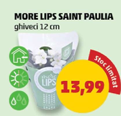 MORE LIPS SAINT PAULIA