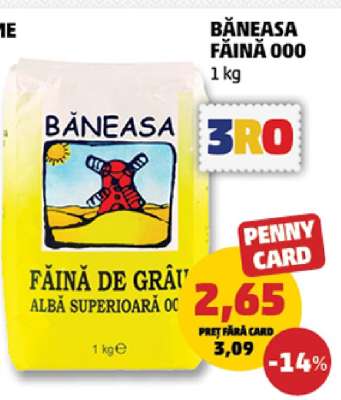 Băneasa Făină 000
