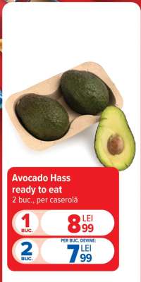 Avocado Hass