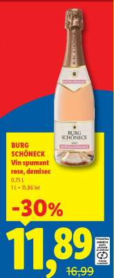 Burg Schöneck