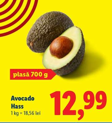Avocado Hass