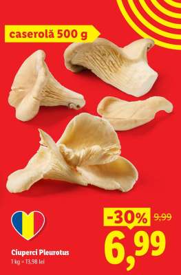 Ciuperci Pleurotus