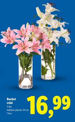 Buchet crini