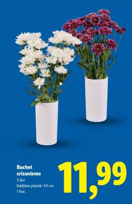 Buchet crizanteme