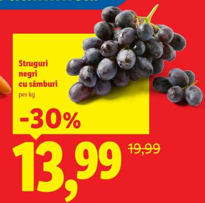 Struguri negri cu sâmburi