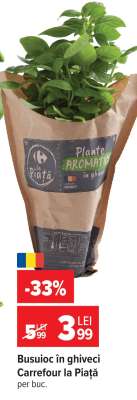 Busuioc în ghiveci Carrefour la Piață