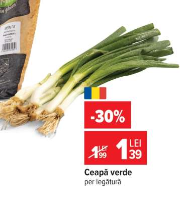 Ceapă verde