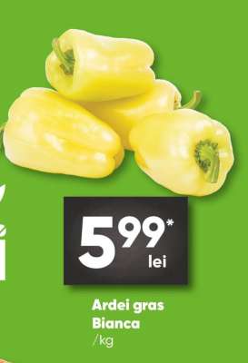 ARDEI GRAS BIANCA