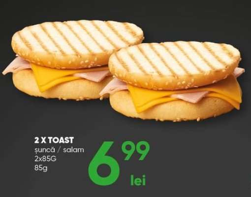 2 X TOAST