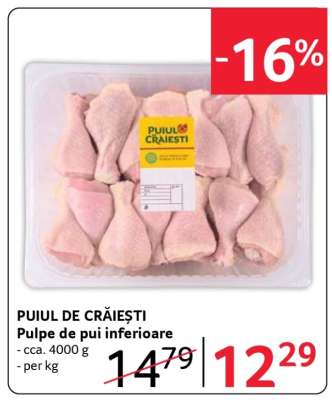 PUIUL DE CRĂIEȘTI