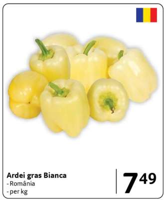 ARDEI GRAS BIANCA
