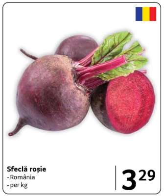 Sfeclă roşie