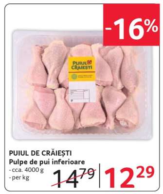 PUIUL DE CRĂIEȘTI
