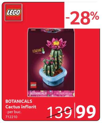 BOTANICALS Cactus înflorit
