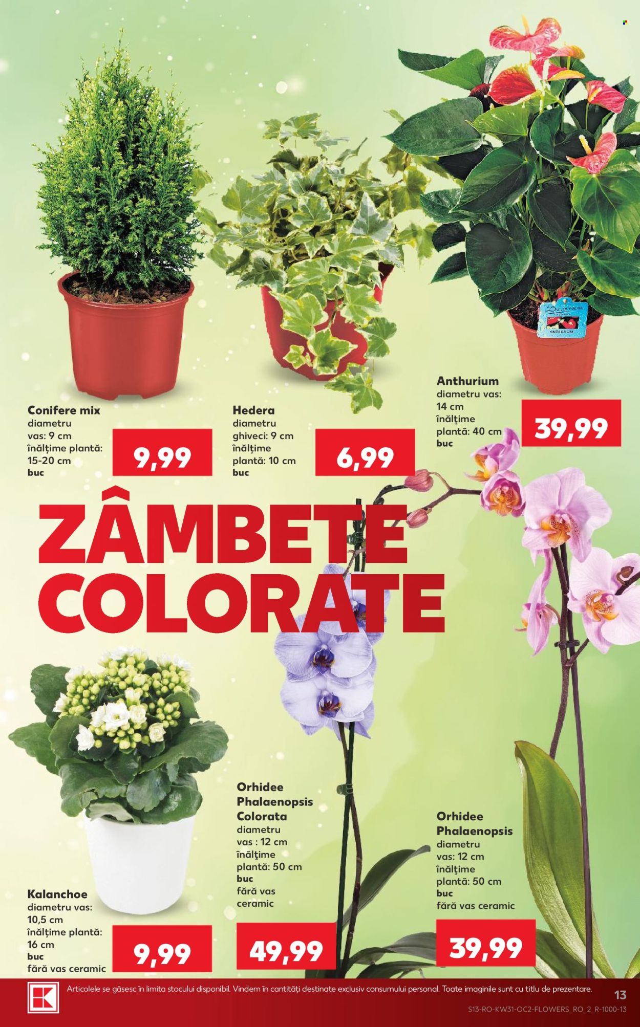 Catalog Kaufland - 29.07.2026 - 04.08.2026. Pagina 13