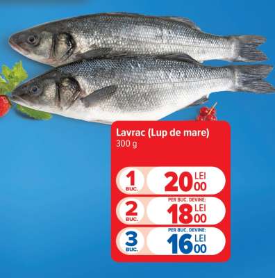 Lavrac (lup de mare)