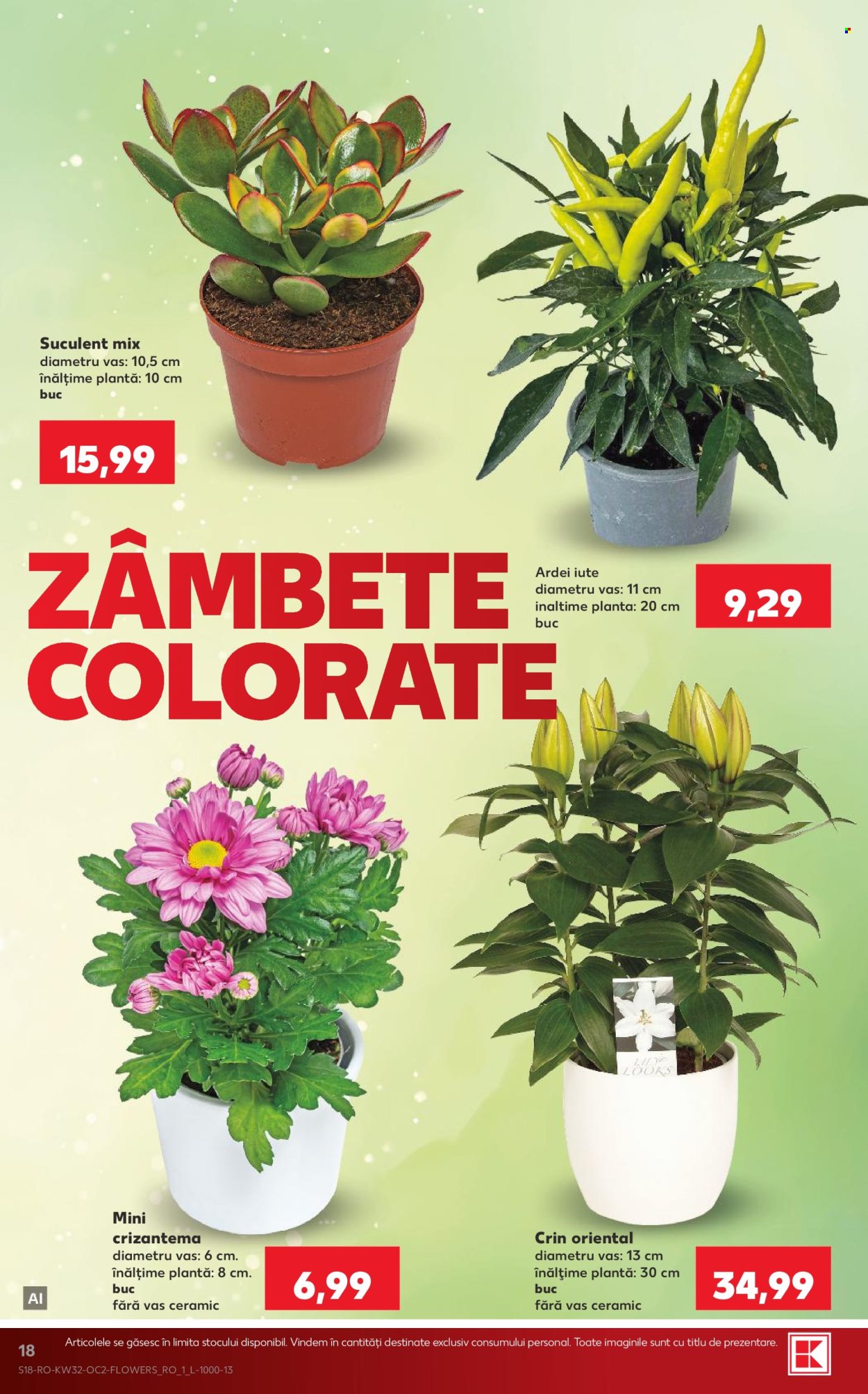 Catalog Kaufland - 05.08.2026 - 11.08.2026. Pagina 18