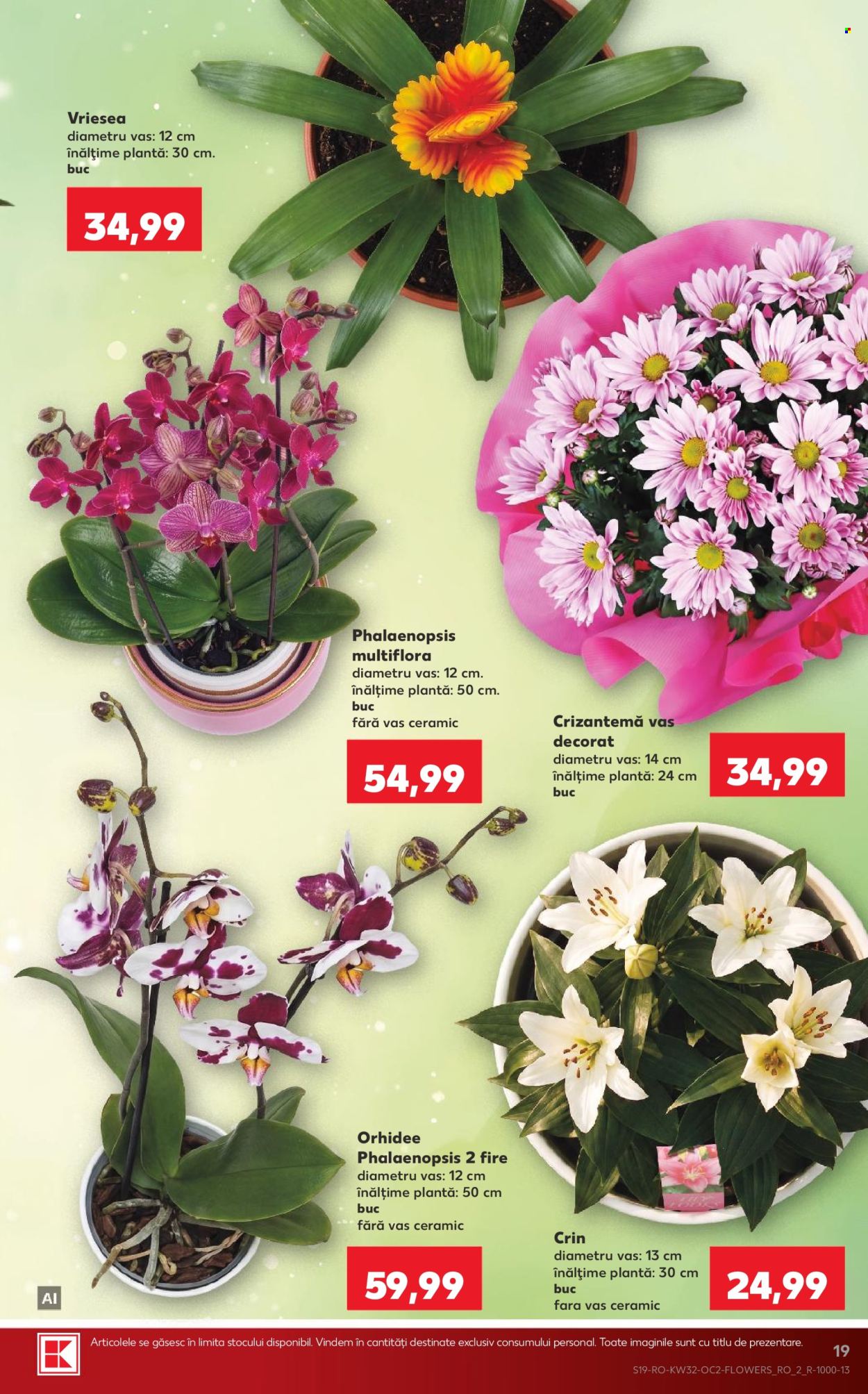 Catalog Kaufland - 05.08.2026 - 11.08.2026. Pagina 19