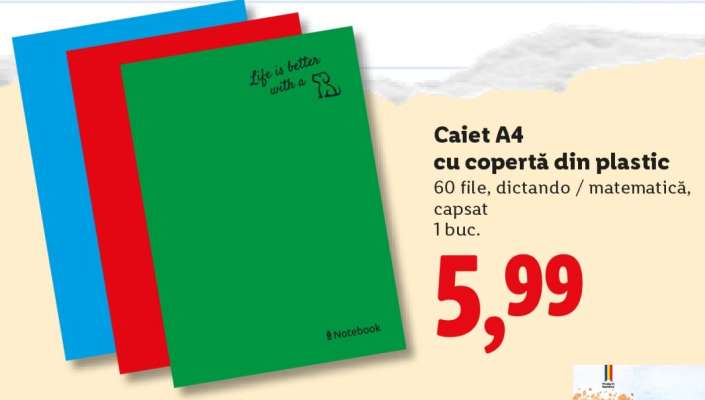 Caiet A4 cu copertă din plastic